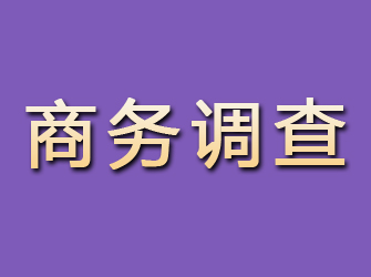 宣武商务调查